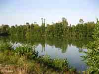 summer 2012 02.jpg